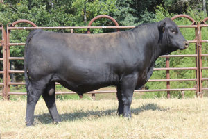 TJB 056X Master Plan 524C-ET